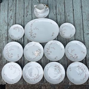 RARE Johann Haviland Bavaria Germany 13 piece set